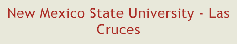New Mexico State University - Las Cruces